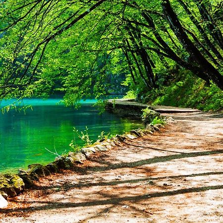 Plitvicka Kuca D - Plitvice Lakes Plitvička Jezera Dış mekan fotoğraf